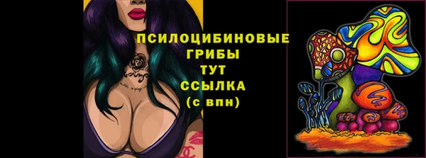 синтетический гашиш Дегтярск